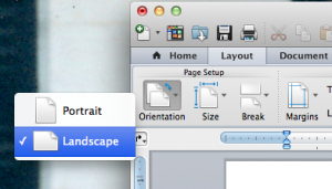 layout,orient,landscape